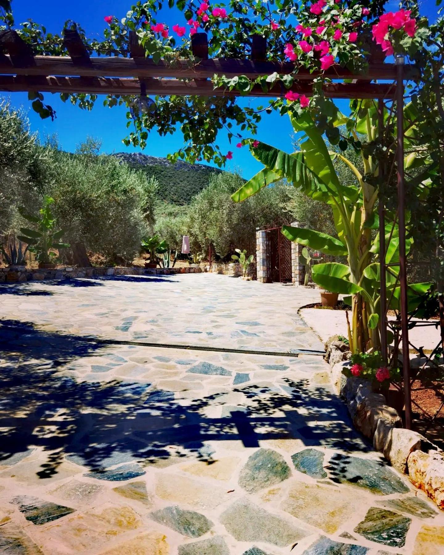 Elaion Thea2-Nies Villa Sourpi Bagian luar foto