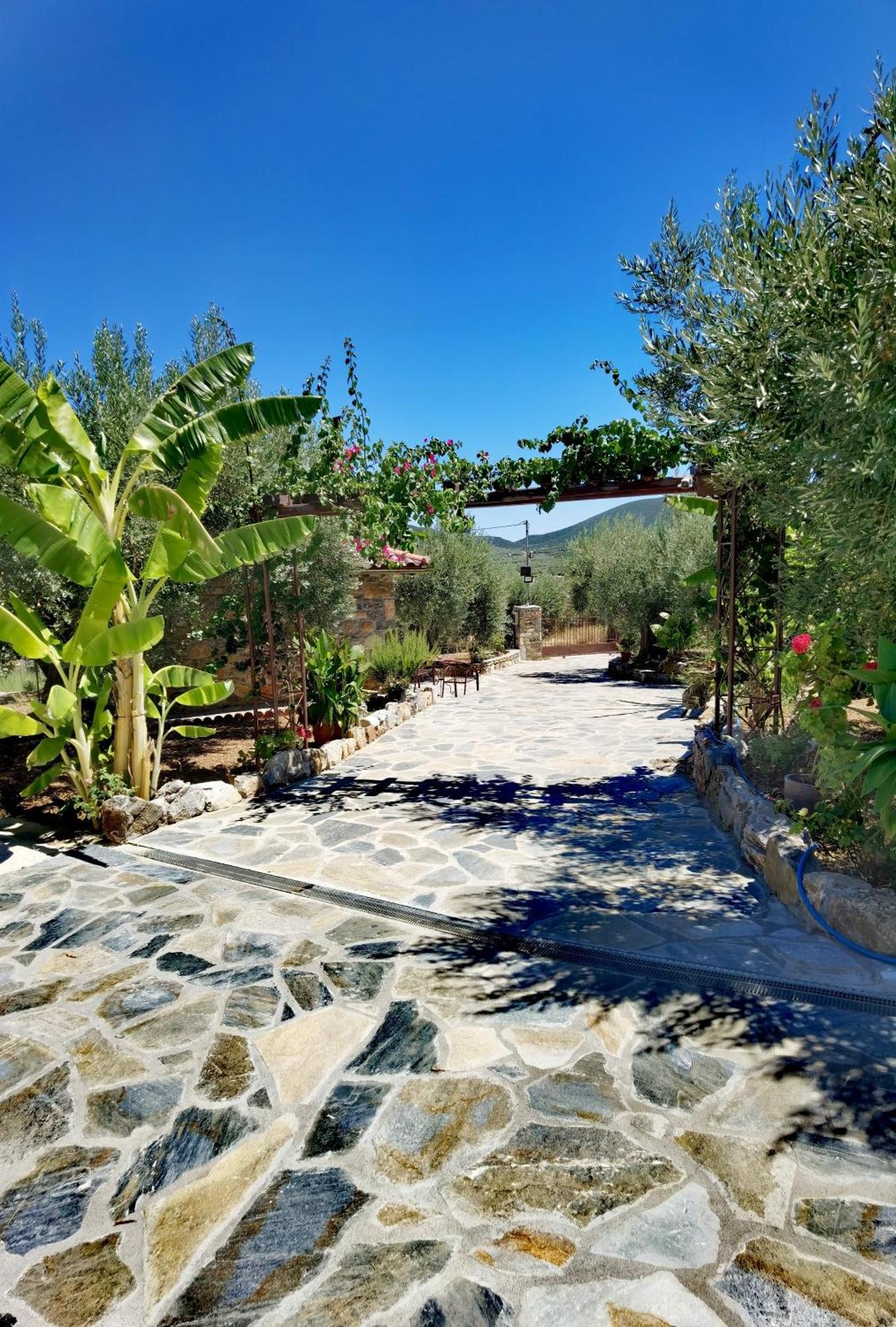 Elaion Thea2-Nies Villa Sourpi Bagian luar foto